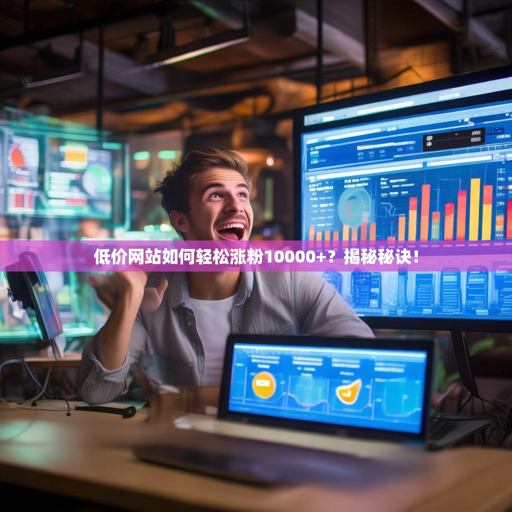 低价网站如何轻松涨粉10000+？揭秘秘诀！
