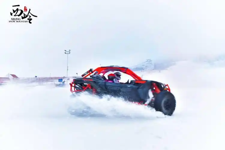 2022北京冬奥会吉祥物冰墩墩解析,设计灵感与寓意全知道