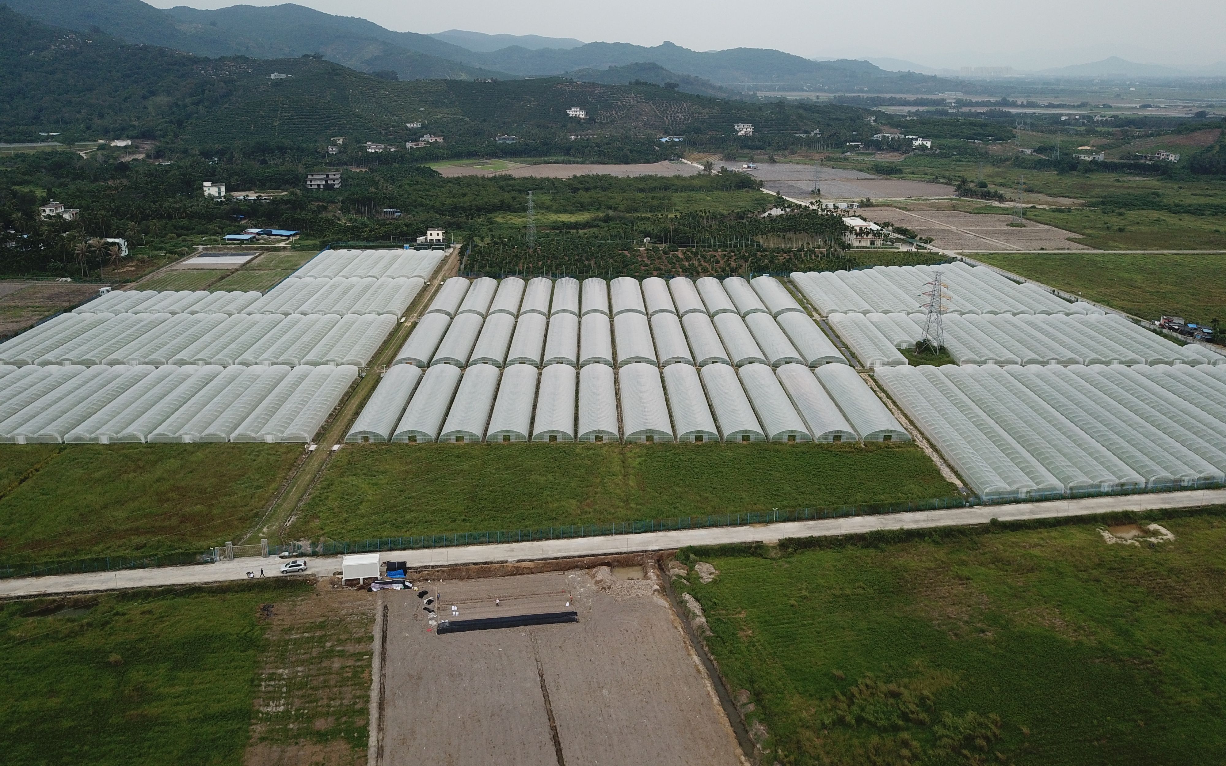 疫情期间海南南繁基地用工物资短缺 专家力保春耕