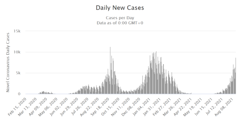 8月16日全球及重点国家疫情数据:新冠确诊与病亡情况